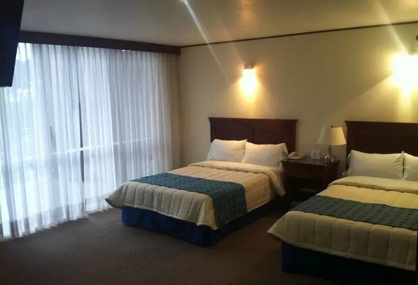 ホテル Tehuacan Plaza