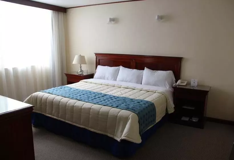 ホテル Tehuacan Plaza