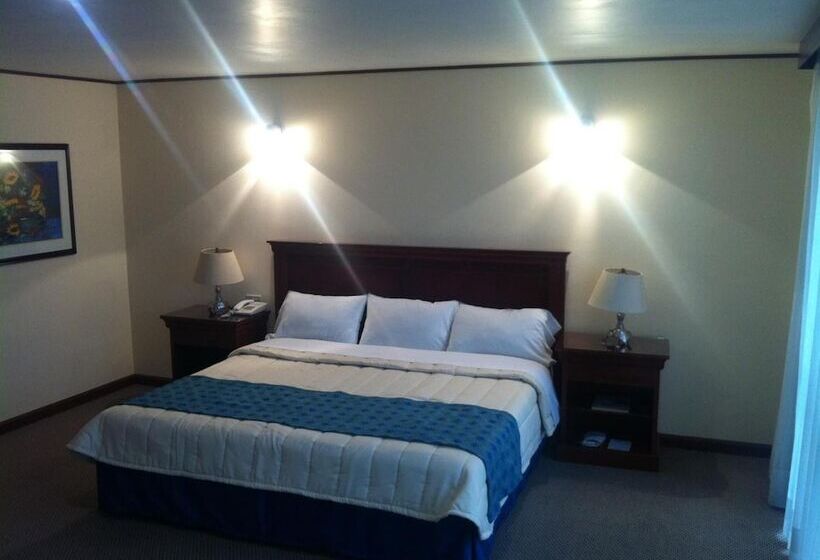 ホテル Tehuacan Plaza