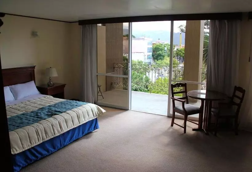 ホテル Tehuacan Plaza