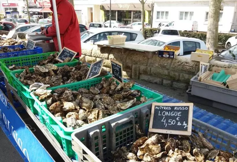 پانسیون Chambres D Hôtes La Pastourelle Royan Centre