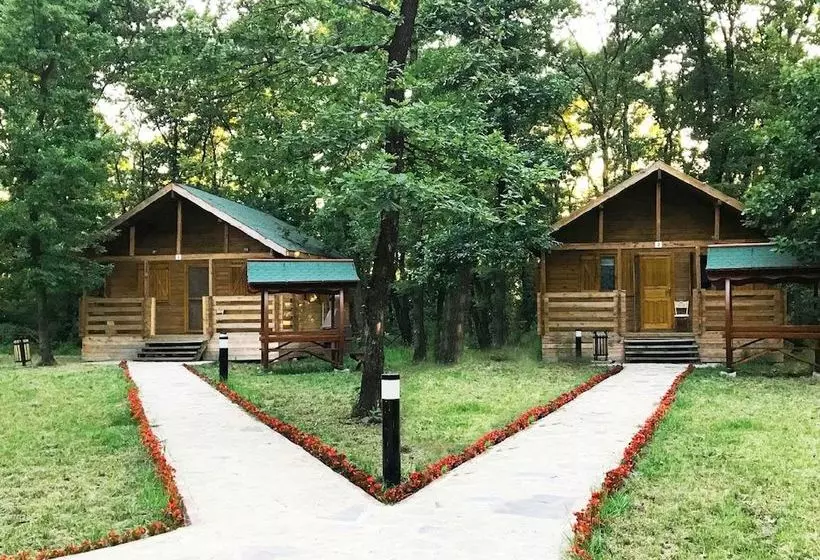 Sakarya Il Ormani Tabiat Parki Kampi