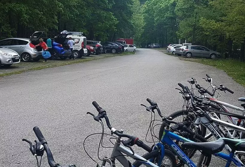 Sakarya Il Ormani Tabiat Parki Kampi