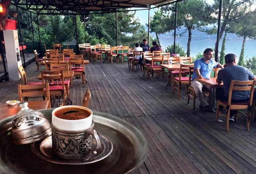 Sakarya Il Ormani Tabiat Parki Kampi