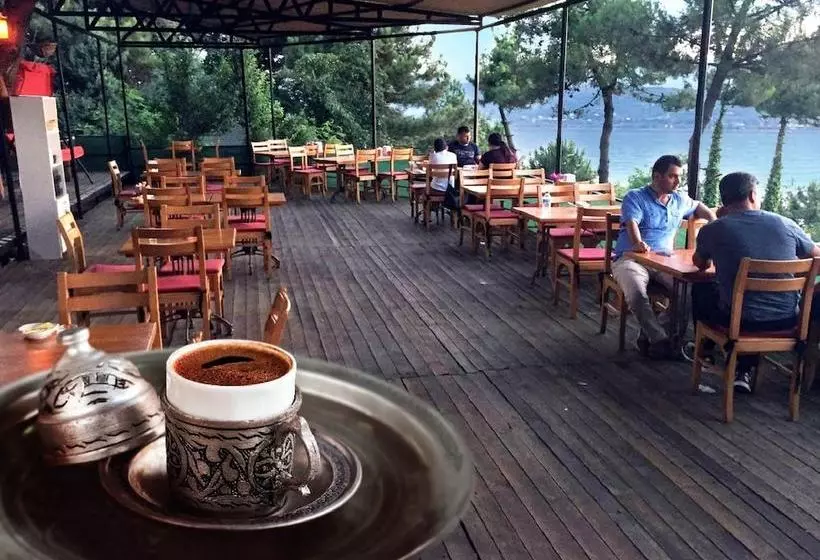 Sakarya Il Ormani Tabiat Parki Kampi