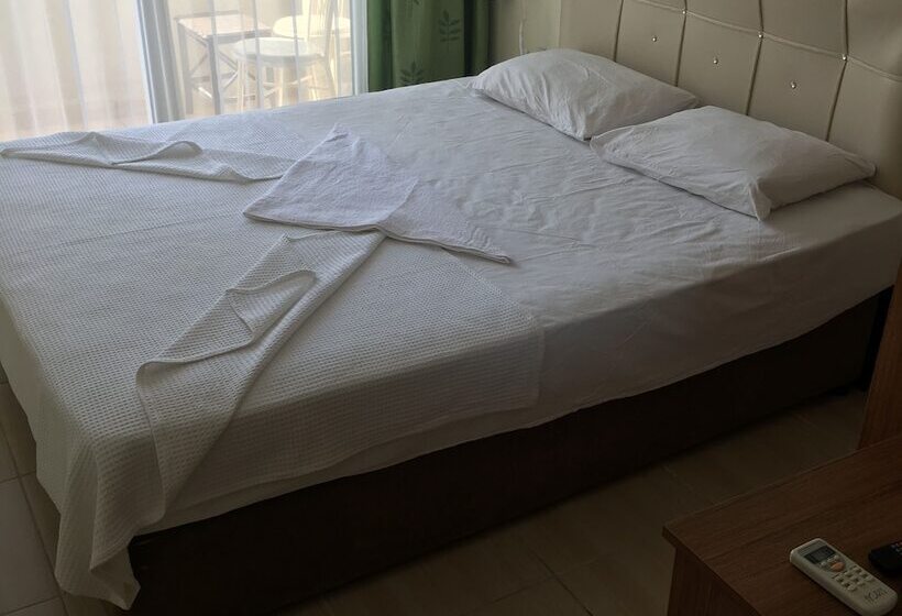 בית מלון כפרי Baskent