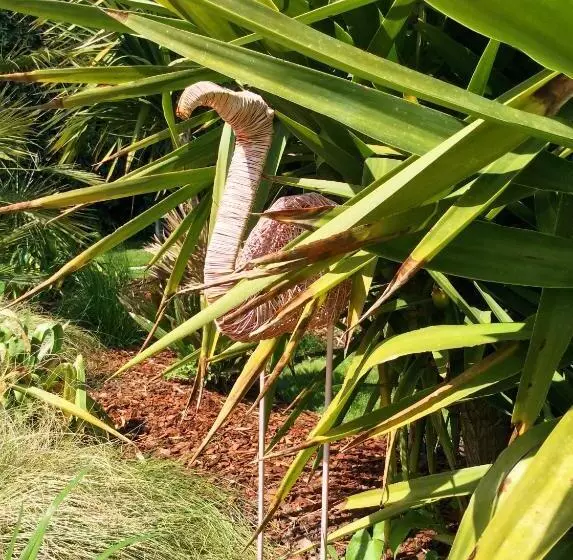 Aamiaismajoitus (B&B) Chambres D Hôte ô Bois Plage