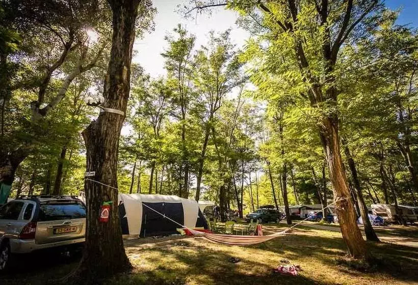 Hotelli Camping Les Genêts D Or