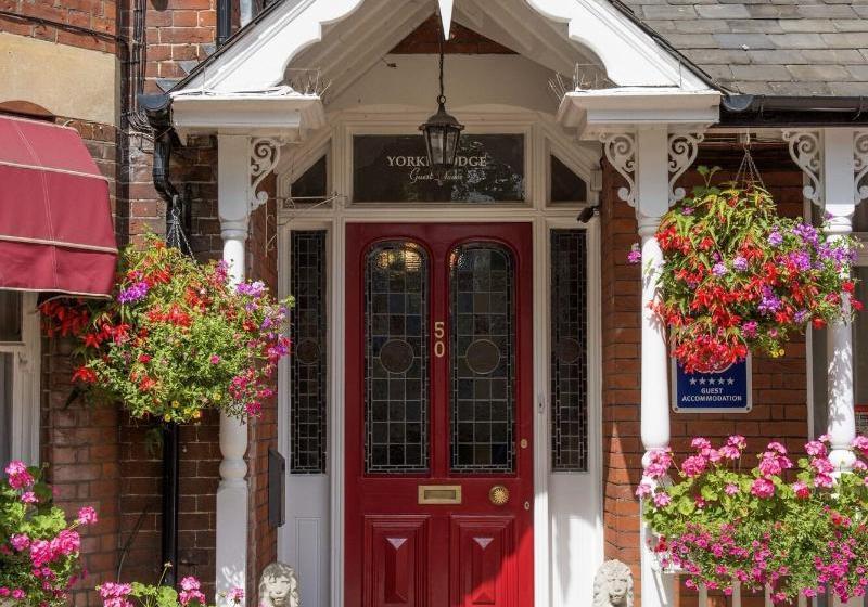 Yorke Lodge Bed And Breakfast
