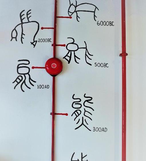 Beary Nice Pod Hostel