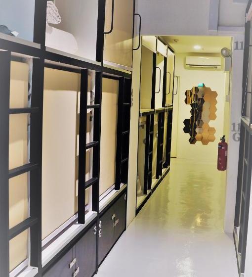 Beary Nice Pod Hostel