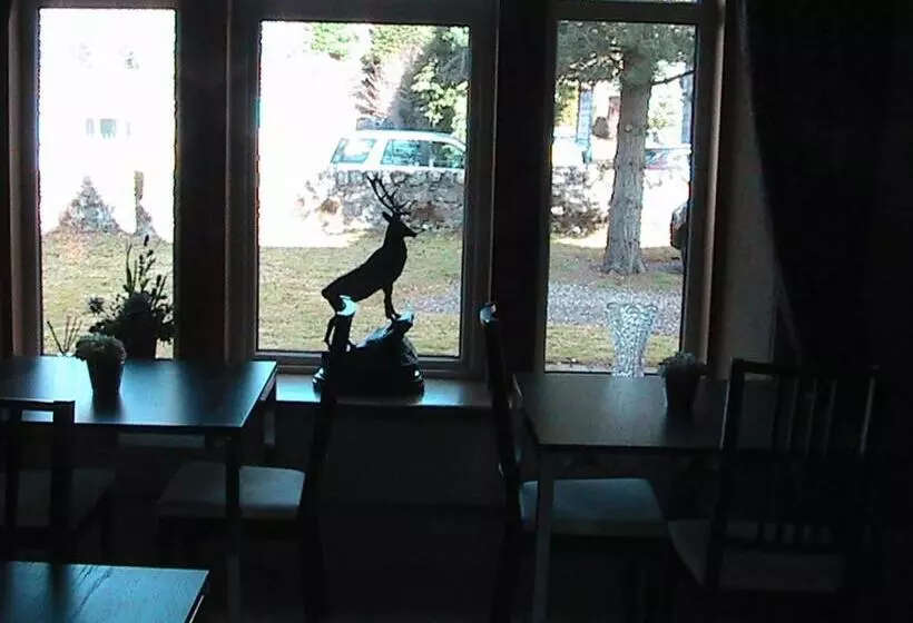 Aamiaismajoitus (B&B) Avondale House