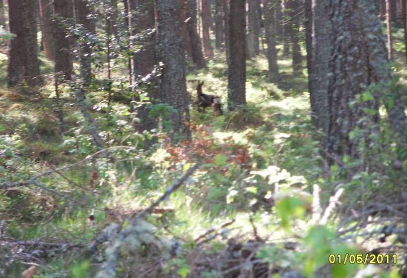 민박 Culbin Croft House