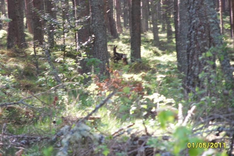 민박 Culbin Croft House