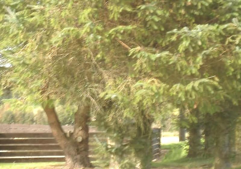 민박 Culbin Croft House