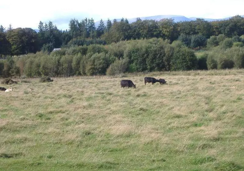 Aamiaismajoitus (B&B) Culbin Croft House