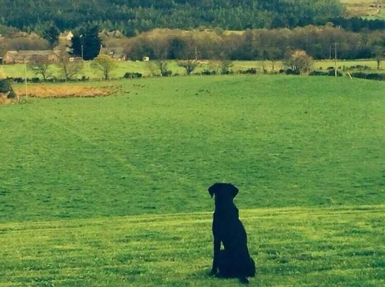 Finzean Estate Holiday Cottages