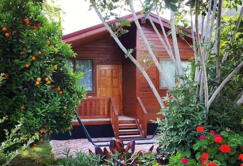 ホテル Asya Bungalow