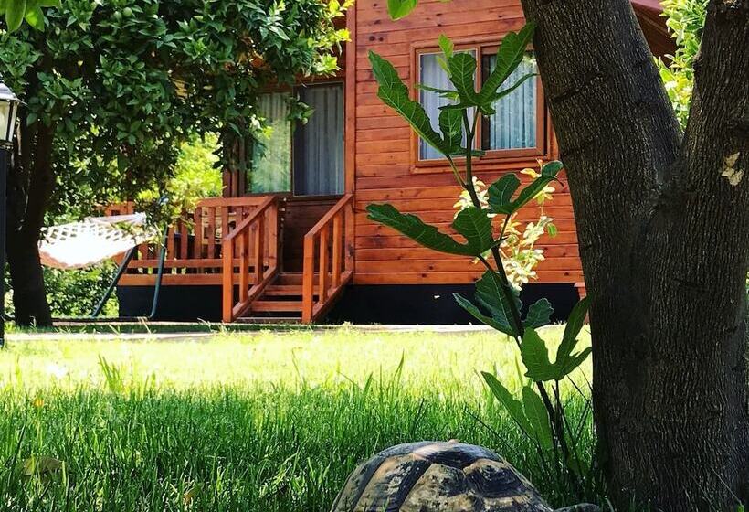 ホテル Asya Bungalow