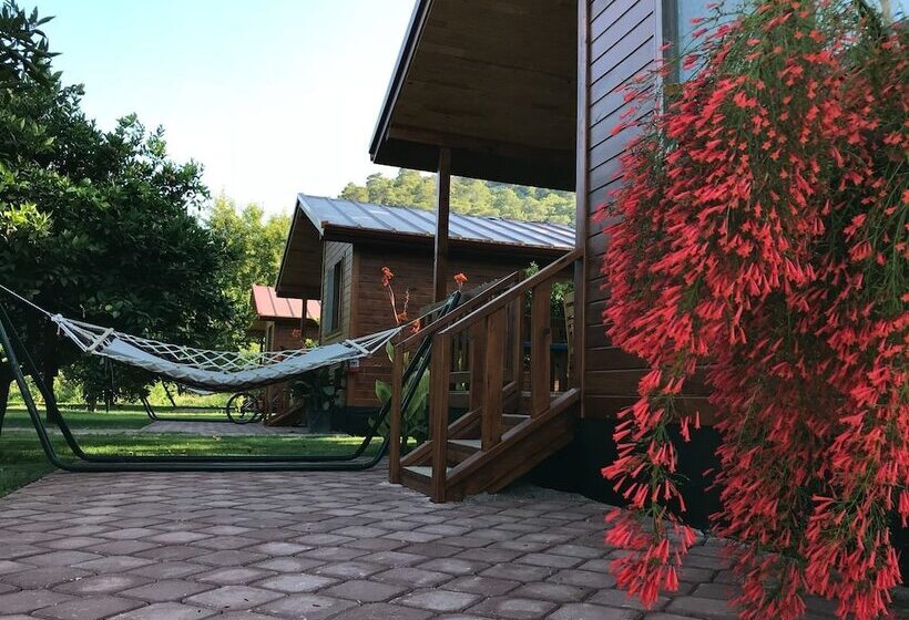 ホテル Asya Bungalow