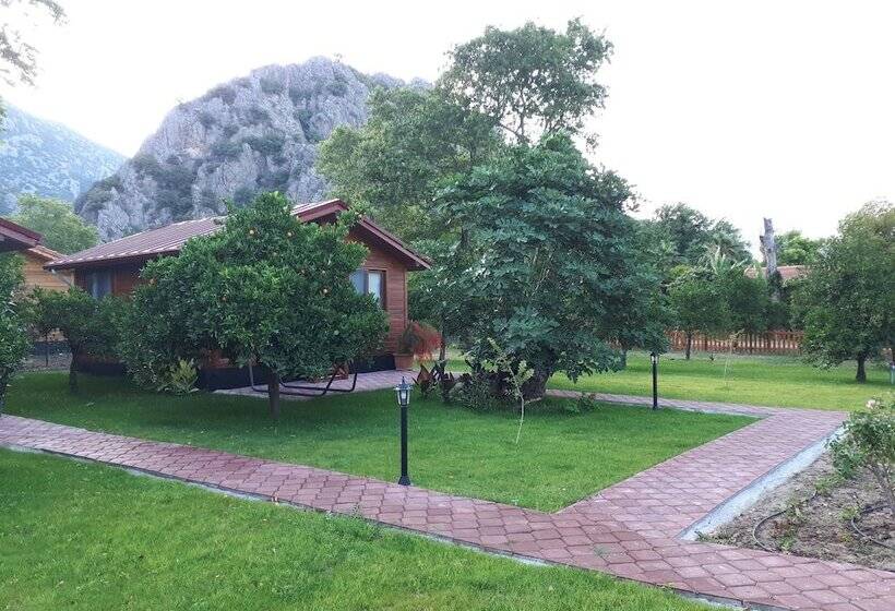 فندق Asya Bungalow