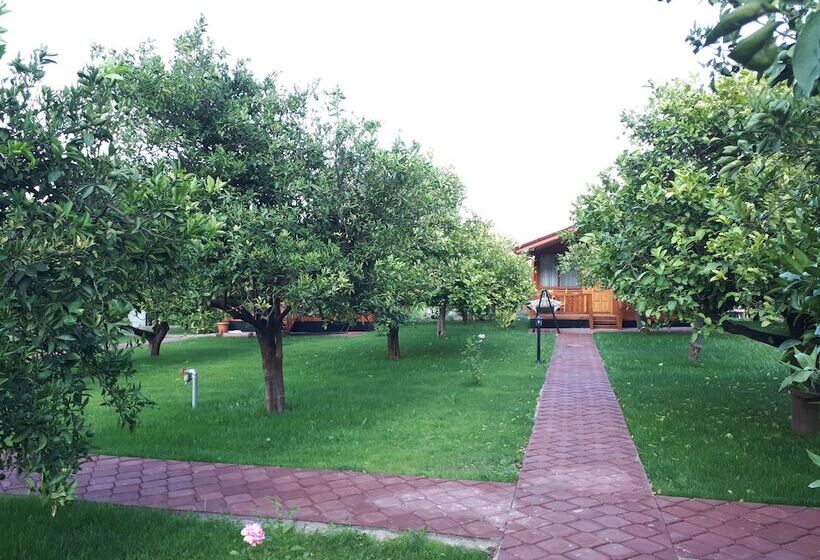 ホテル Asya Bungalow