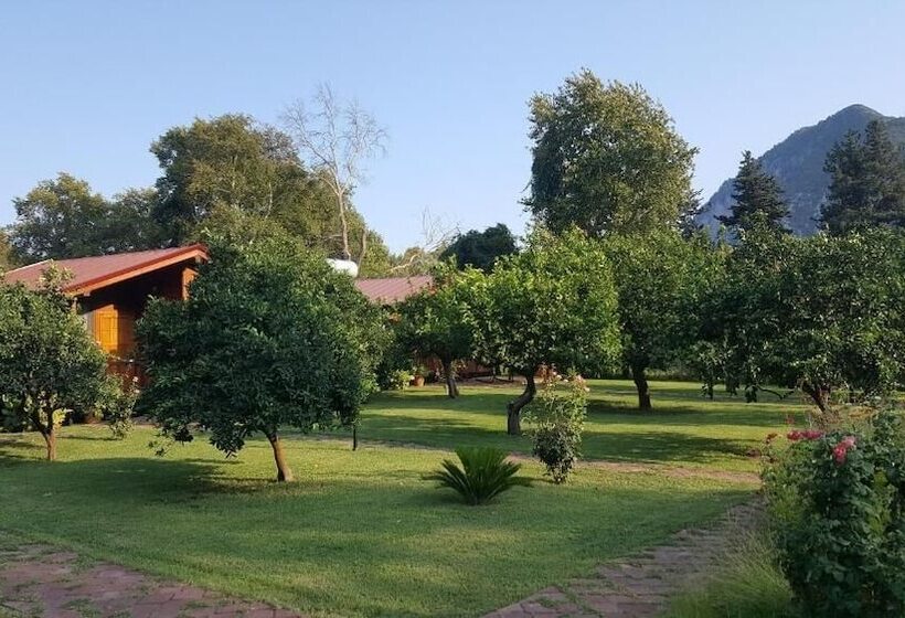 ホテル Asya Bungalow