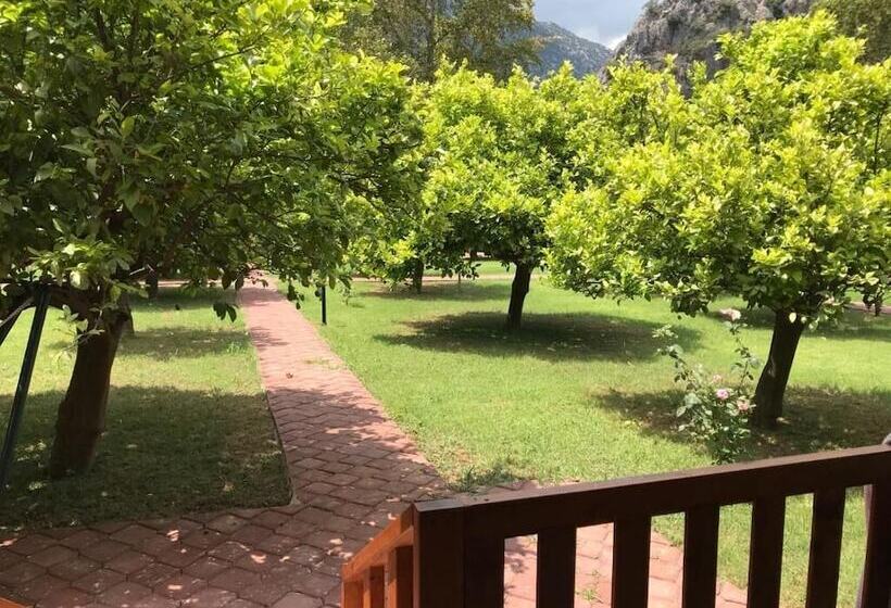 Отель Asya Bungalow