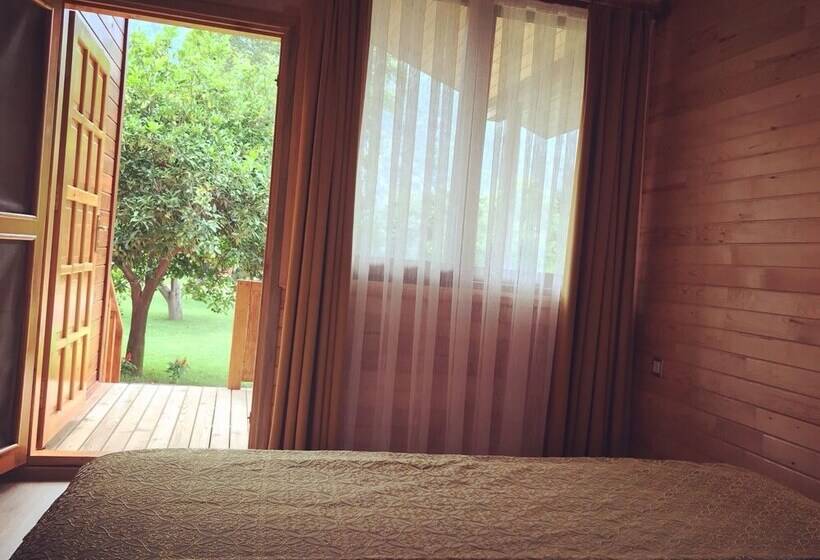 Отель Asya Bungalow