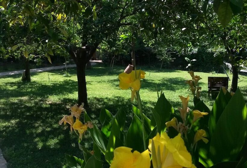 Hotel Yavuz Bungalow