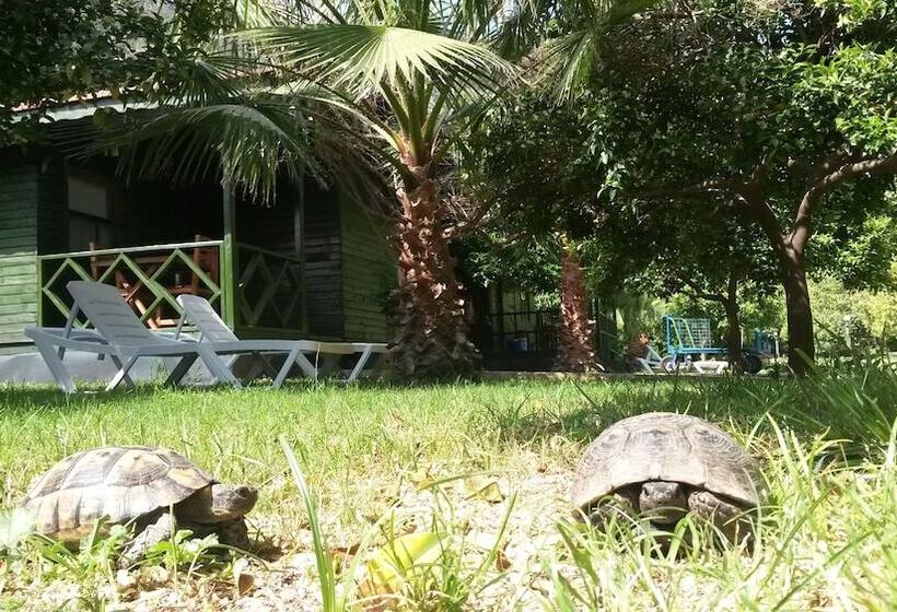 Hotel Yavuz Bungalow