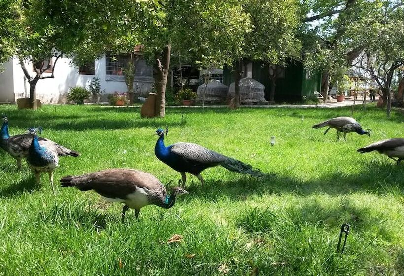 Hotel Yavuz Bungalow