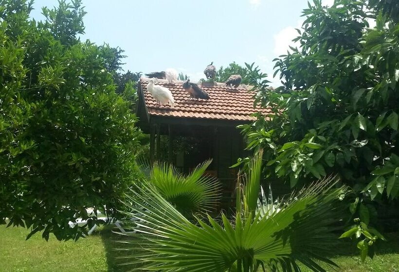 Hotel Yavuz Bungalow