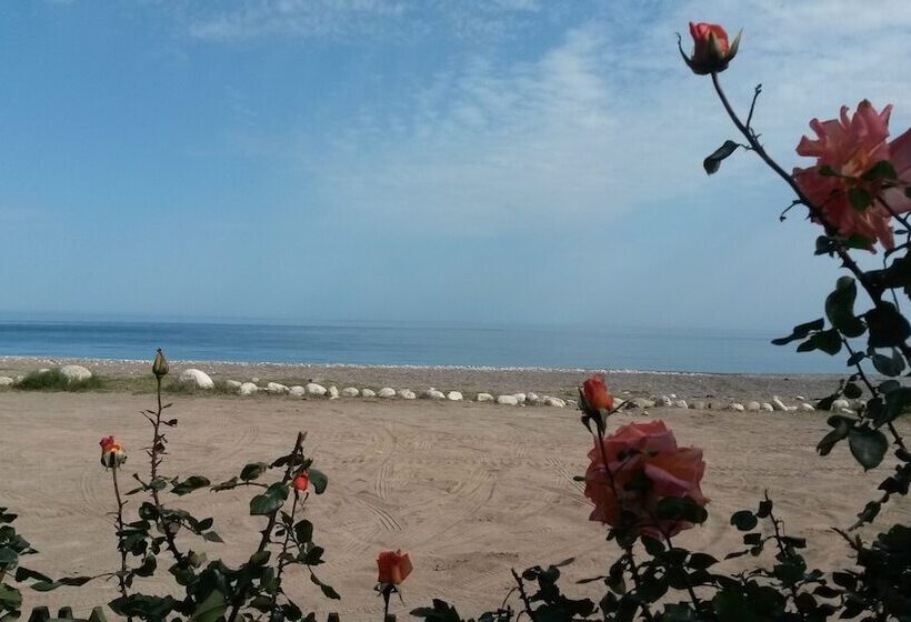 Hotel Yavuz Bungalow