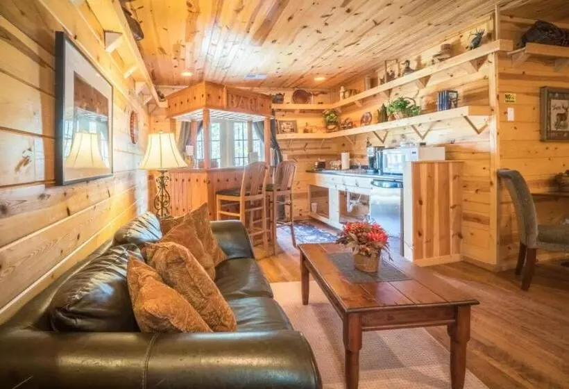 Motelli Nacoochee Valley Rentals