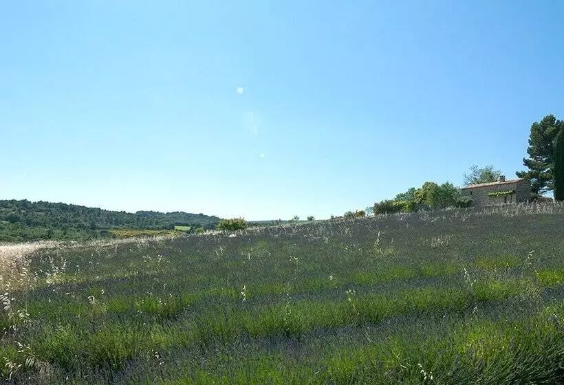 ペンション La Bastide De Voulonne