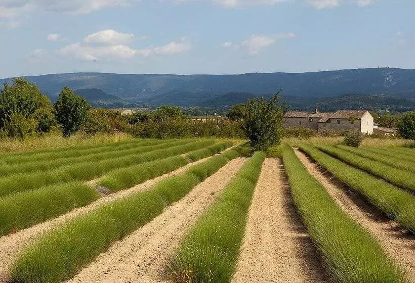 ペンション La Bastide De Voulonne