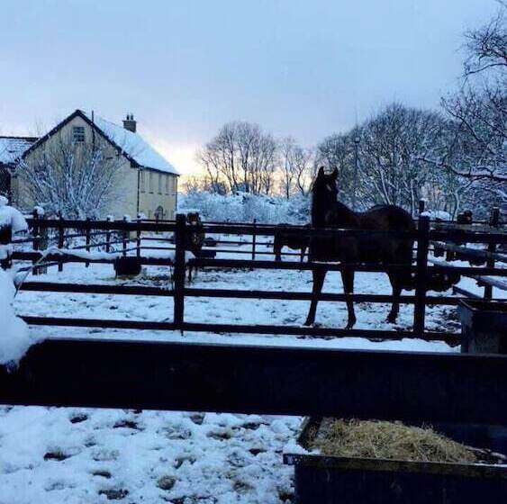 The Rocks Bed & Breakfast