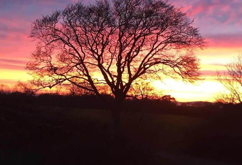 The Rocks Bed & Breakfast