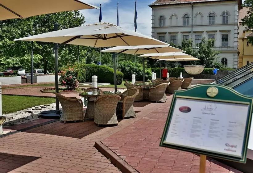 בית מלון כפרי Aro Palace