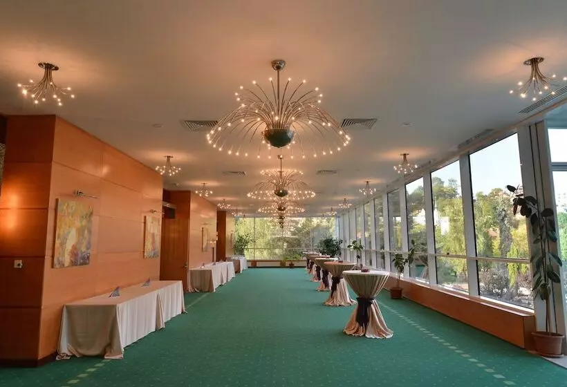 בית מלון כפרי Aro Palace