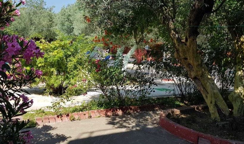 هاستل Oliva Pansiyon