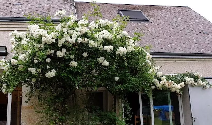 Aamiaismajoitus (B&B) Le Coffret D Avenir