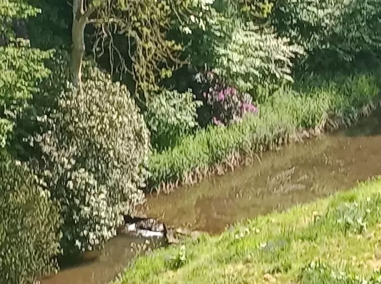 Bed and Breakfast Stravithie Castle