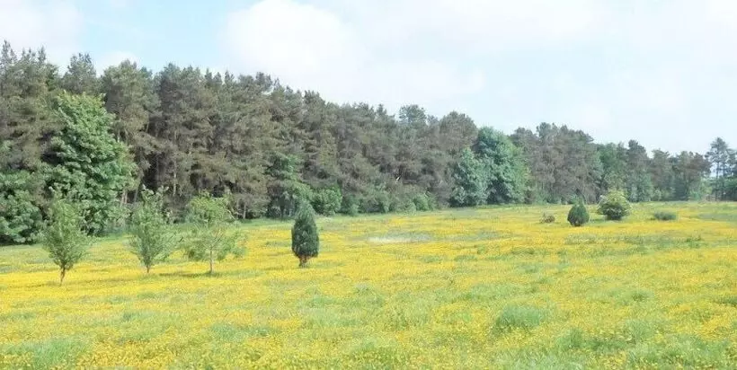 Bed and Breakfast Stravithie Castle