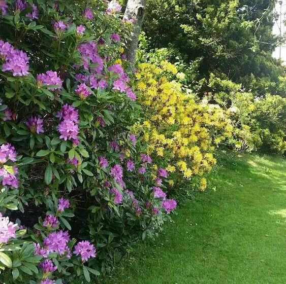 Bed and Breakfast Stravithie Castle