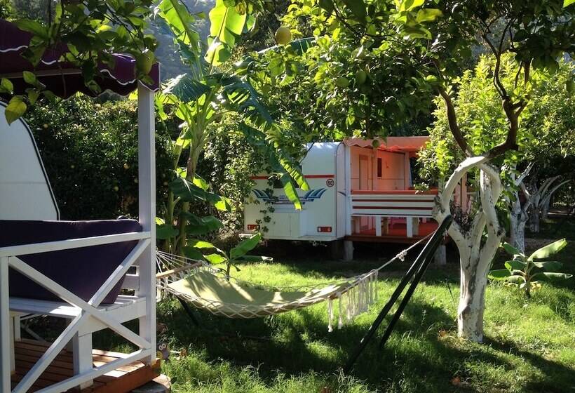 فندق Bellerofon Camping