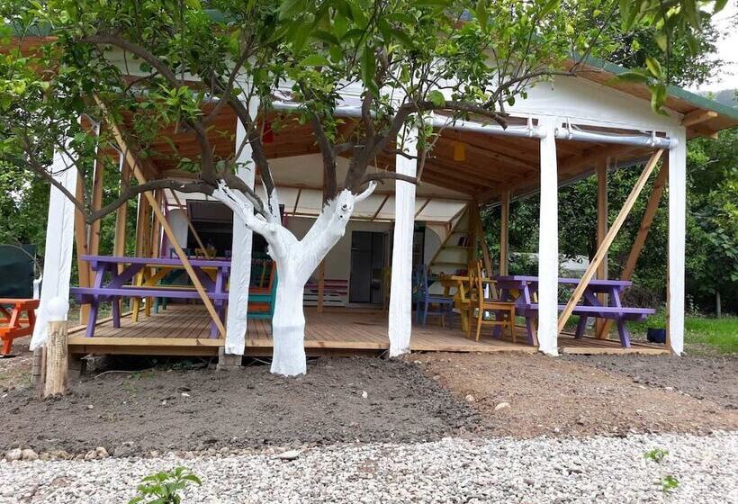 فندق Bellerofon Camping