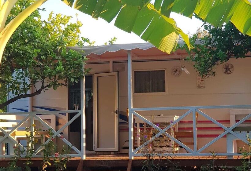 فندق Bellerofon Camping