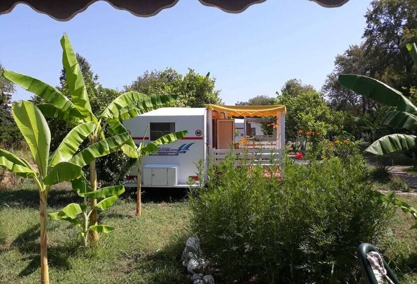 فندق Bellerofon Camping